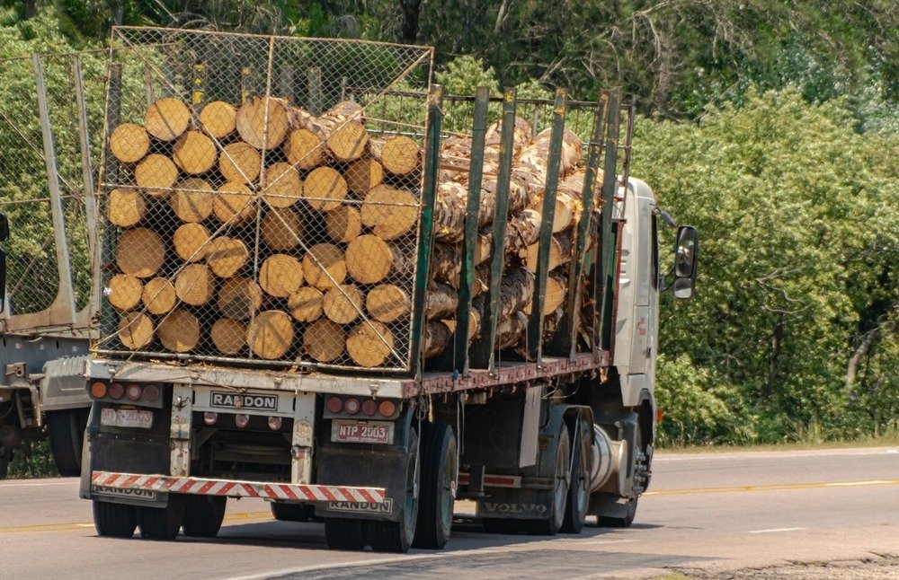 Akazien-Rundholz – LKW-Ladung 50 Ster