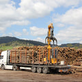 Rotbuche im Stamm – Lkw komplett 50 Raummeter