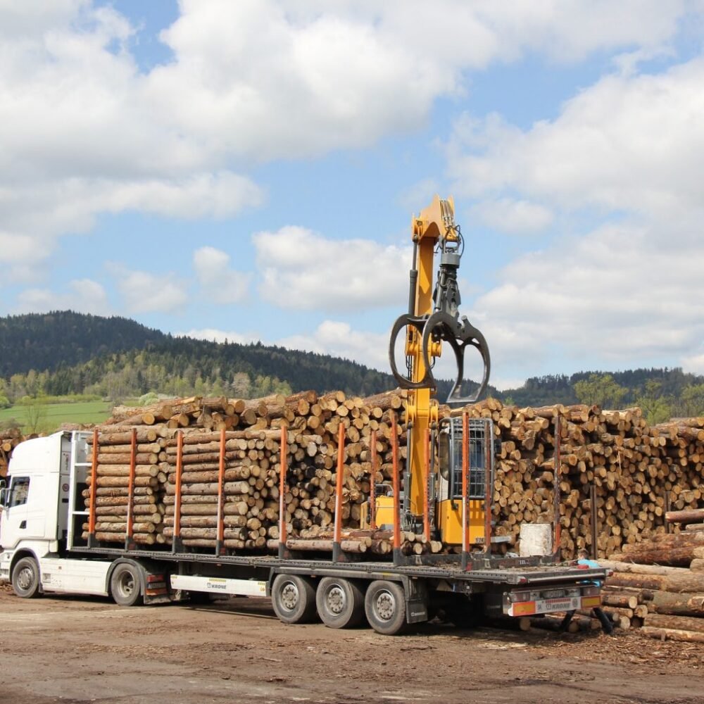 Rotbuche im Stamm – Lkw komplett 50 Raummeter